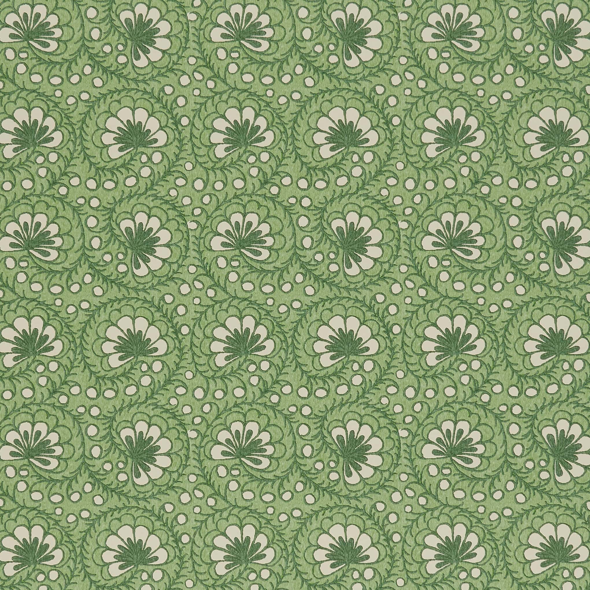 Curly Sue - Green Reverse