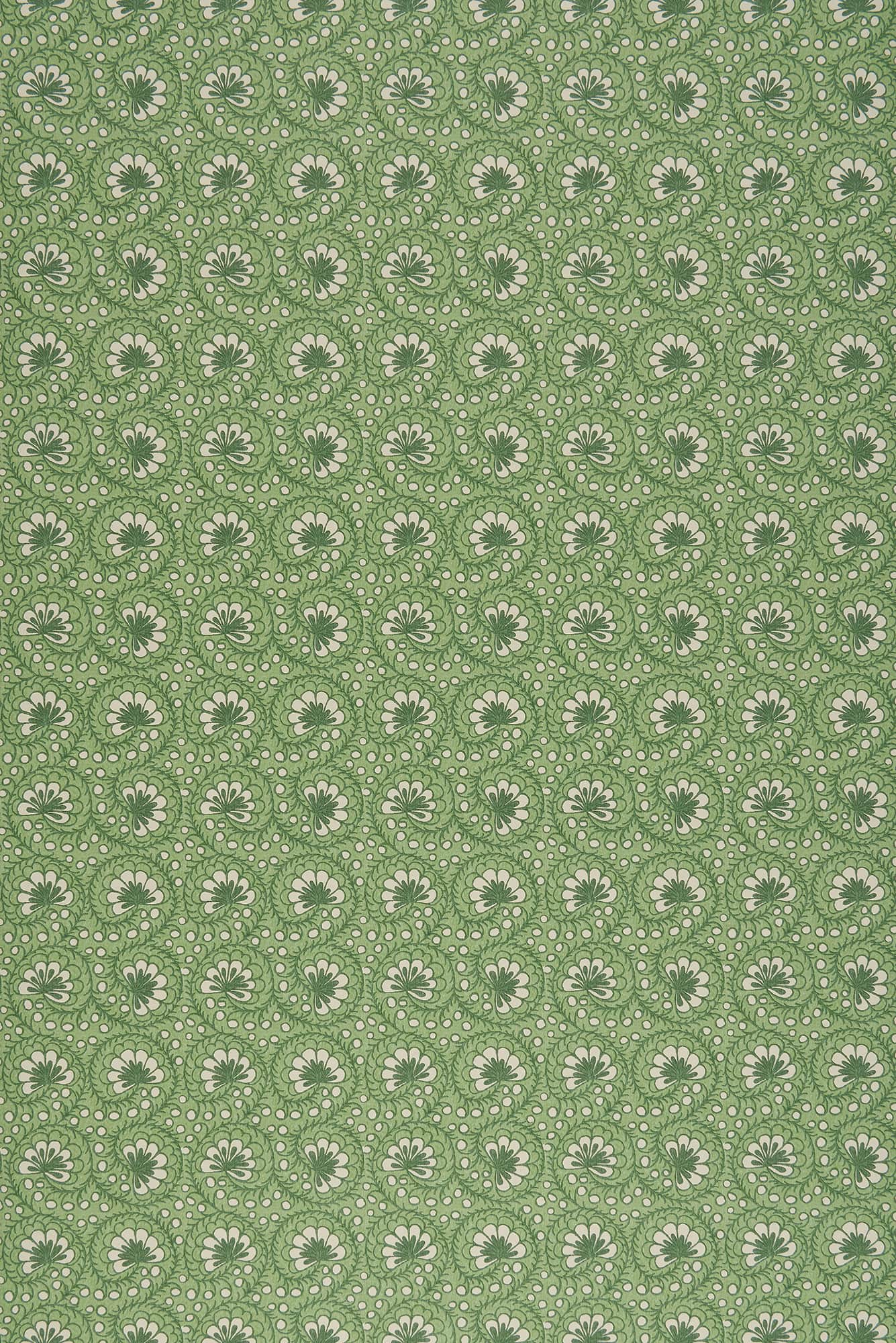 Curly Sue - Green Reverse by Sarah Vanrenen