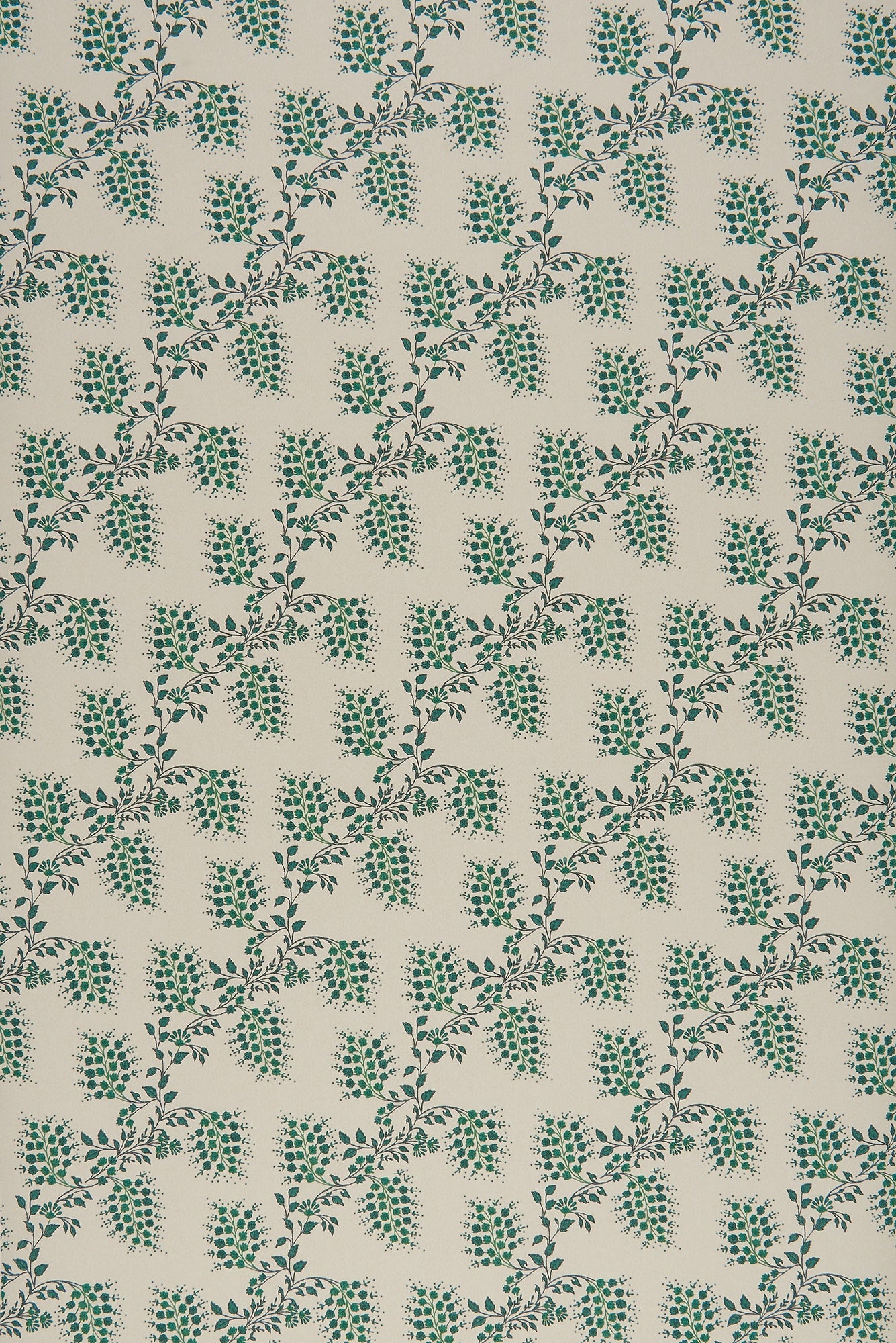 Isabelle Small - Green by Sarah Vanrenen