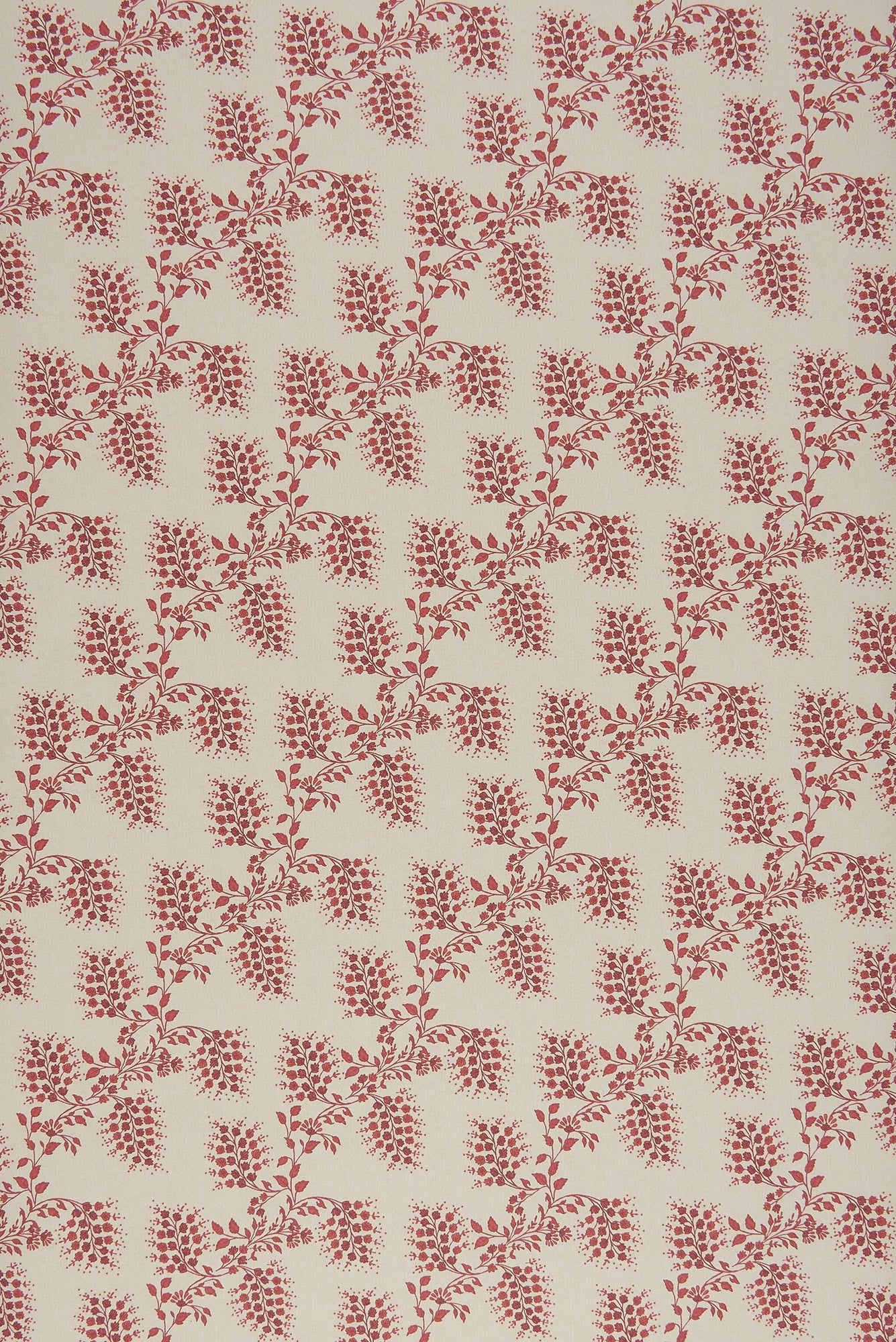 Isabelle Small - Red by Sarah Vanrenen