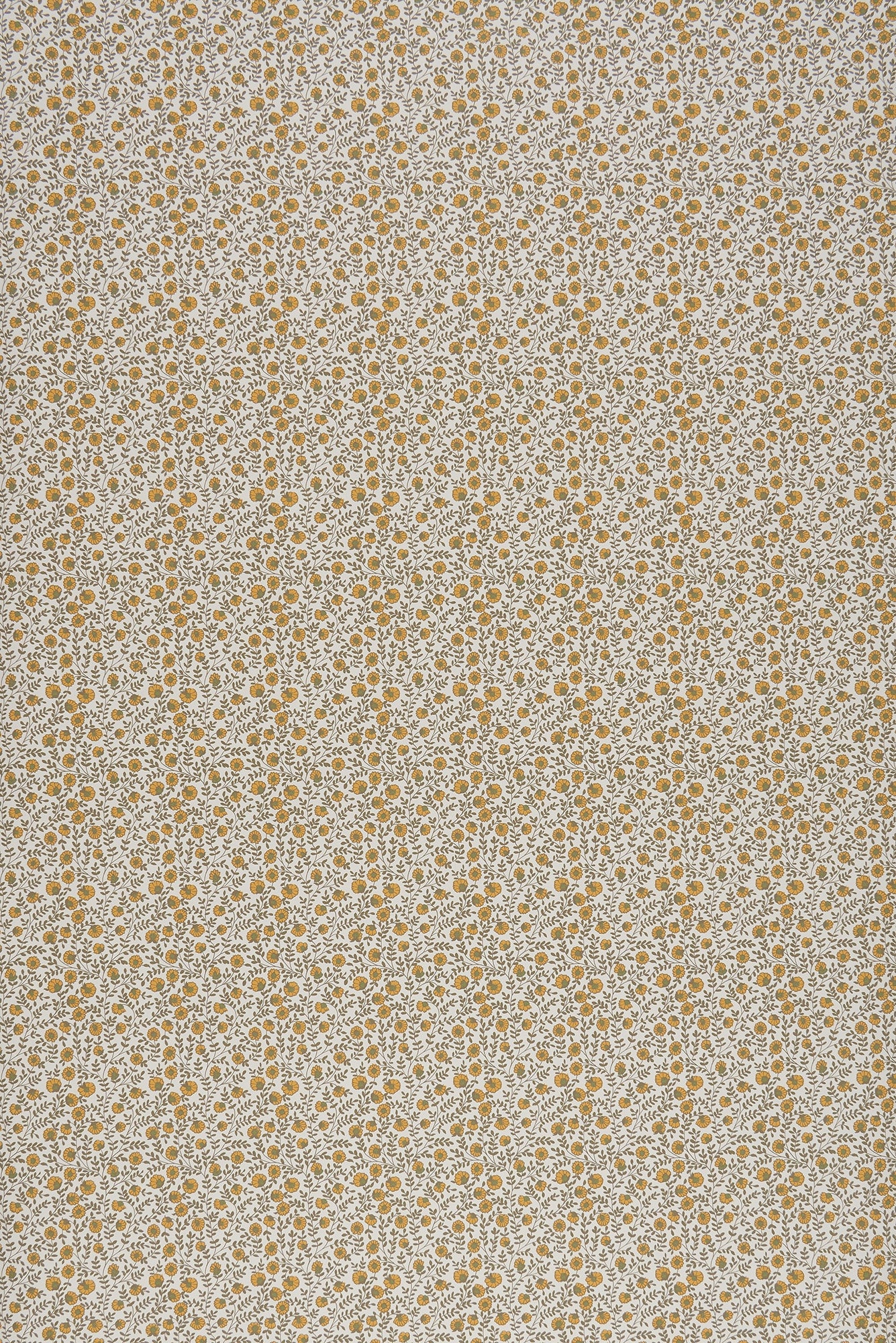 Vetch - Mustard by Sarah Vanrenen