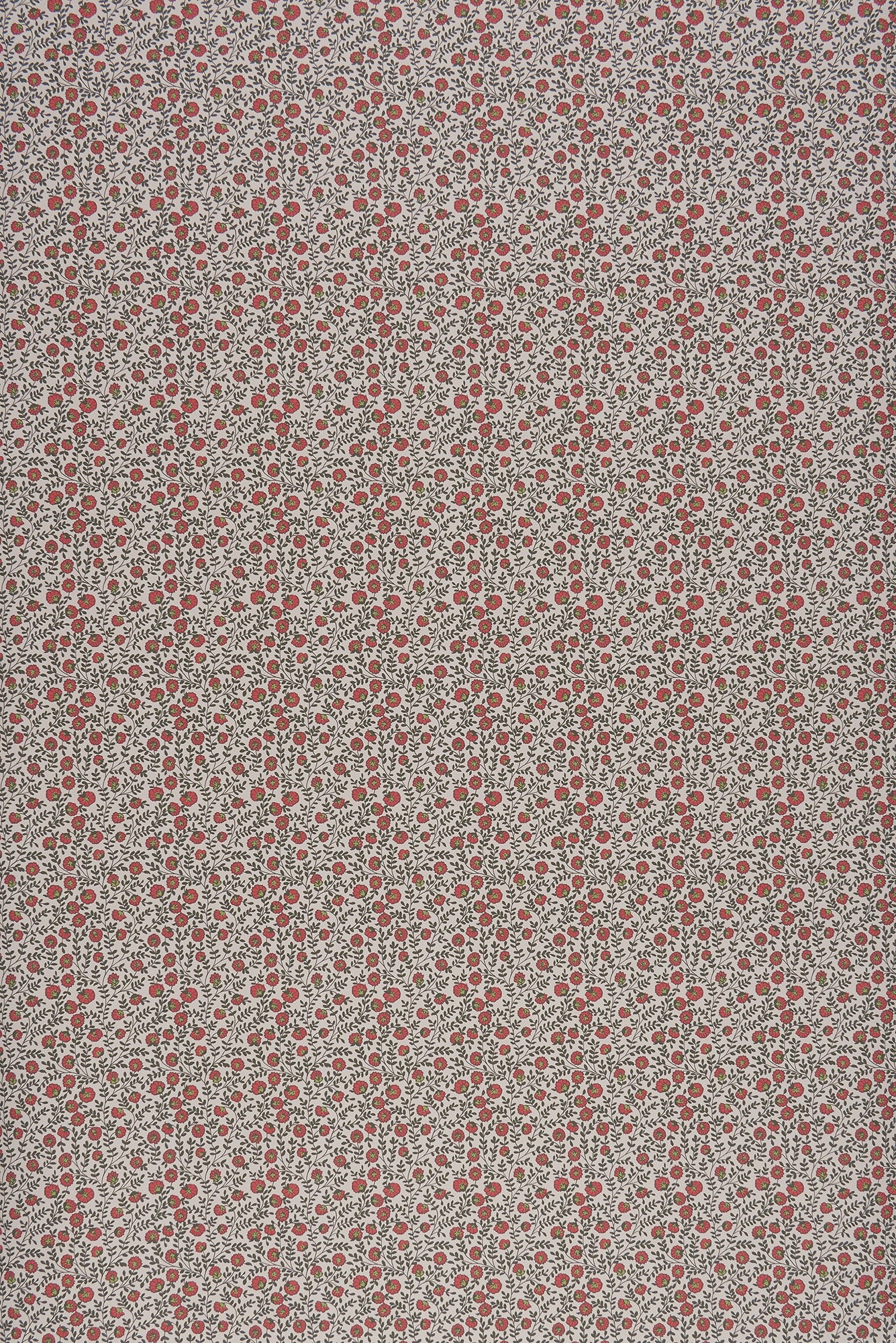 Vetch - Red by Sarah Vanrenen