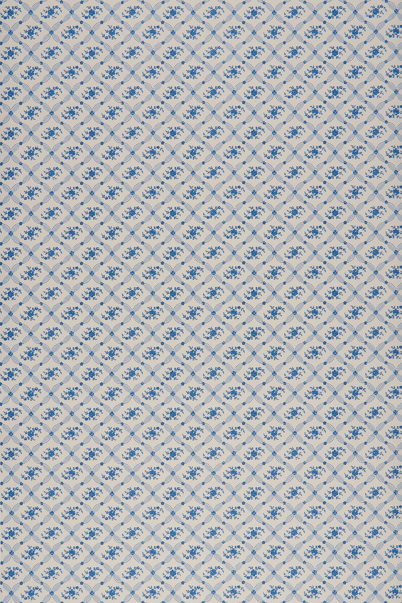 Violet - Blue by Sarah Vanrenen