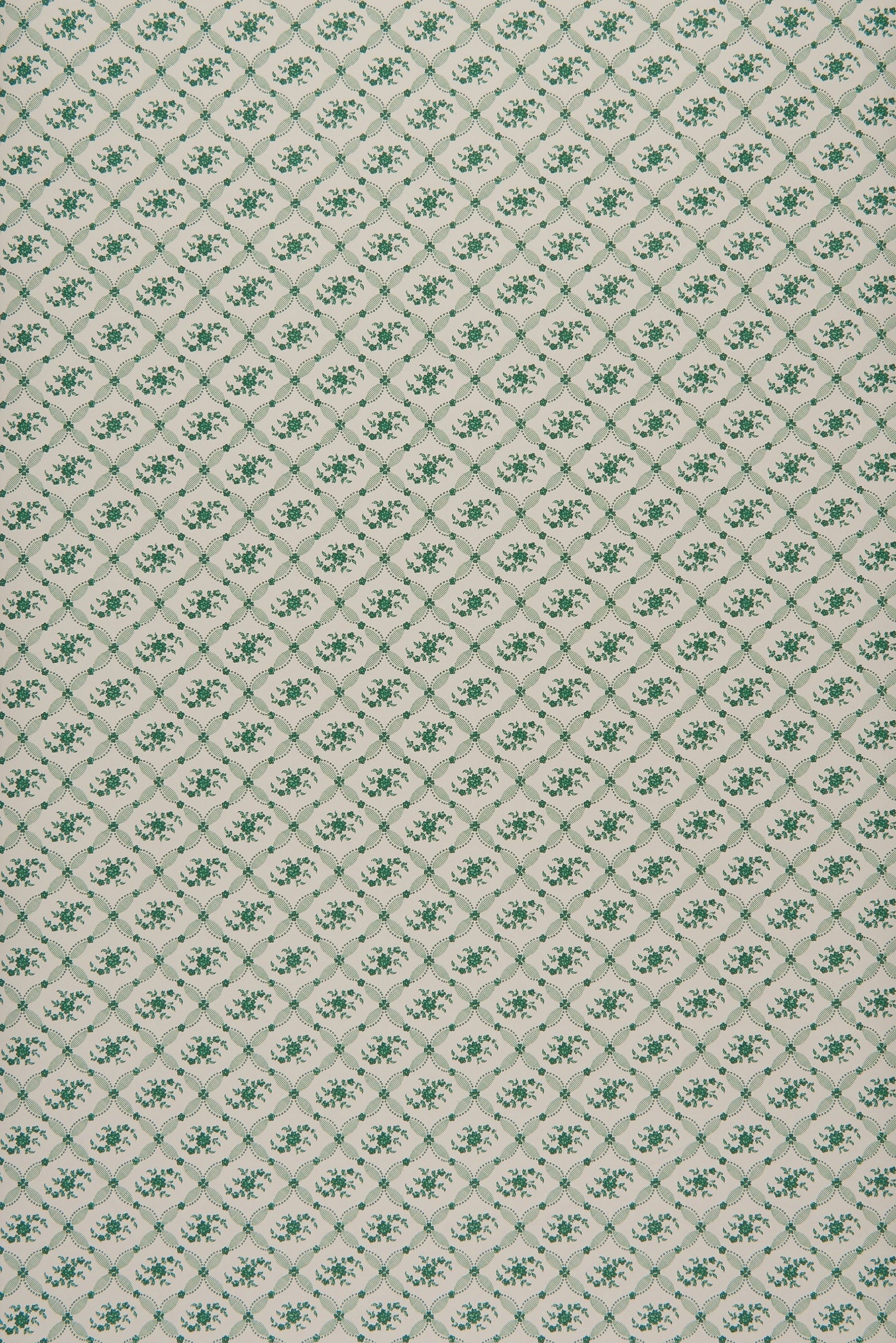 Violet - Green Reverse by Sarah Vanrenen