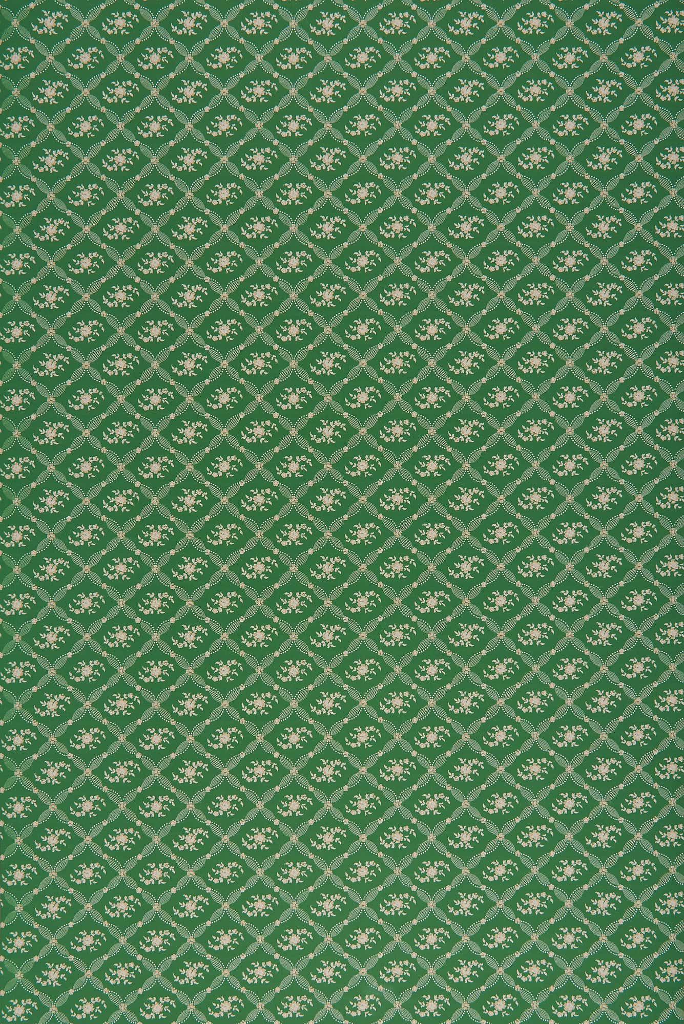 Violet - Green by Sarah Vanrenen