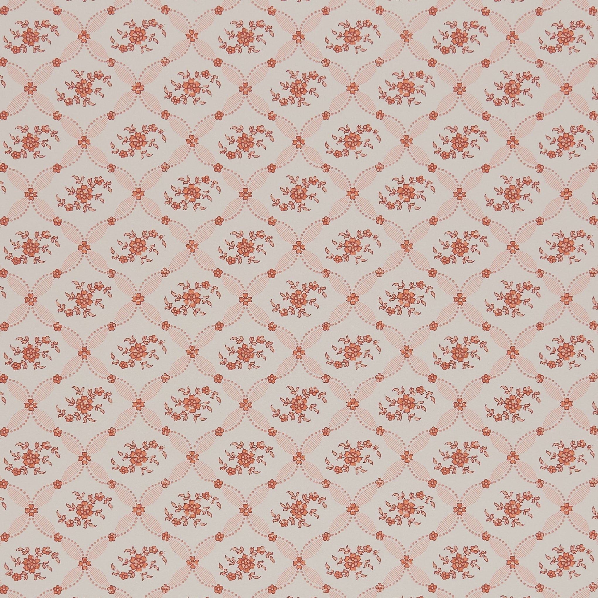 Violet - Orange (Sample)