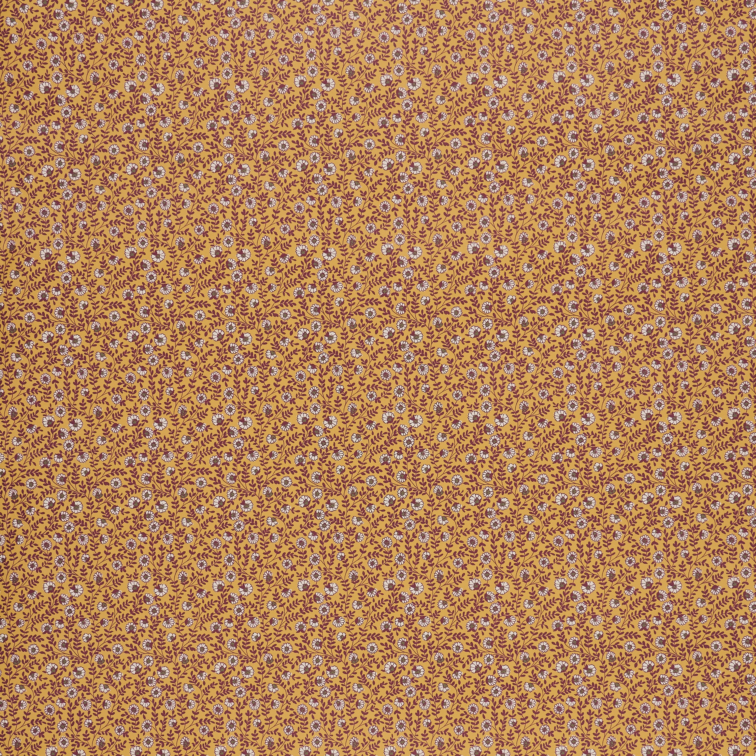 Vetch - Saffron (Sample)