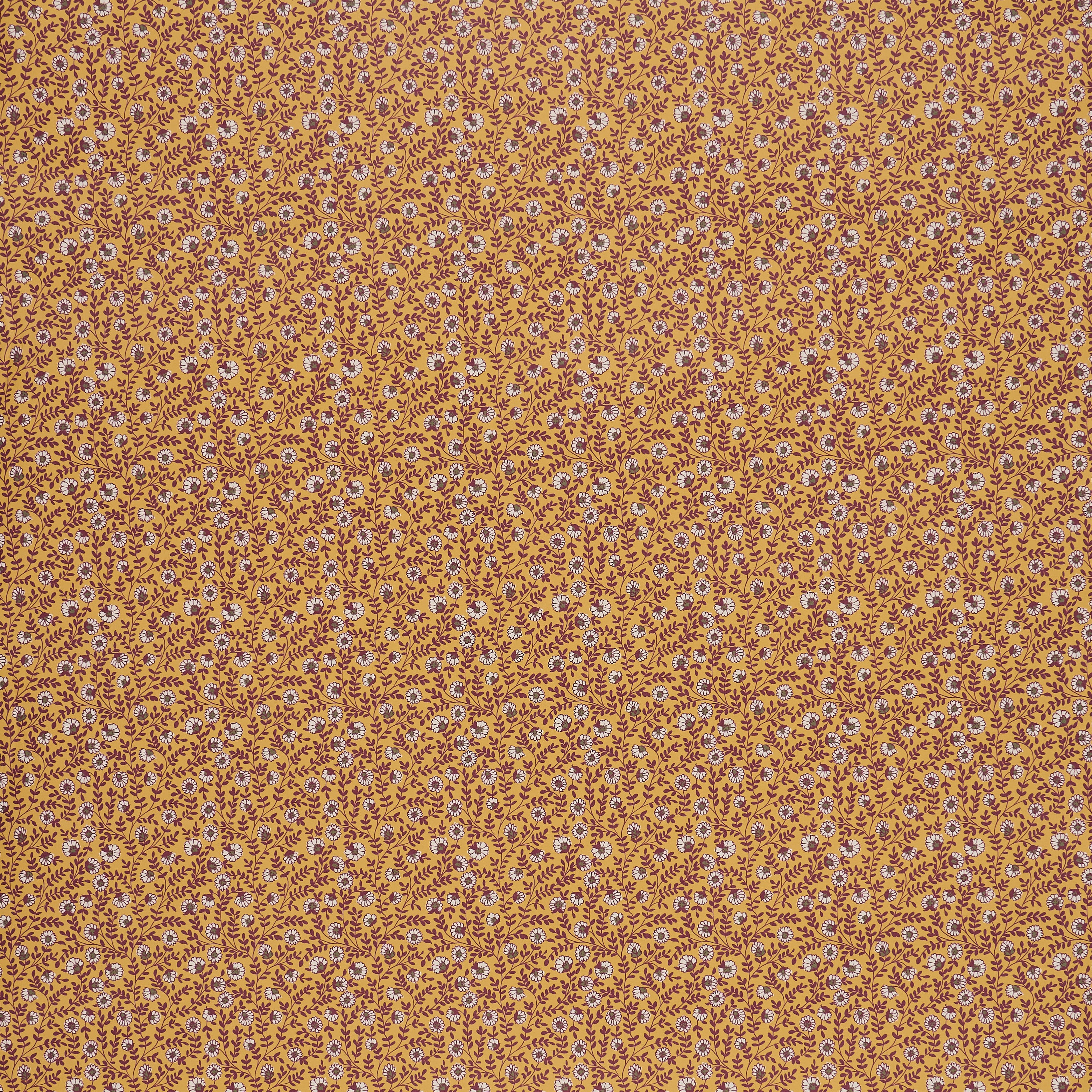 Vetch - Saffron (Sample)