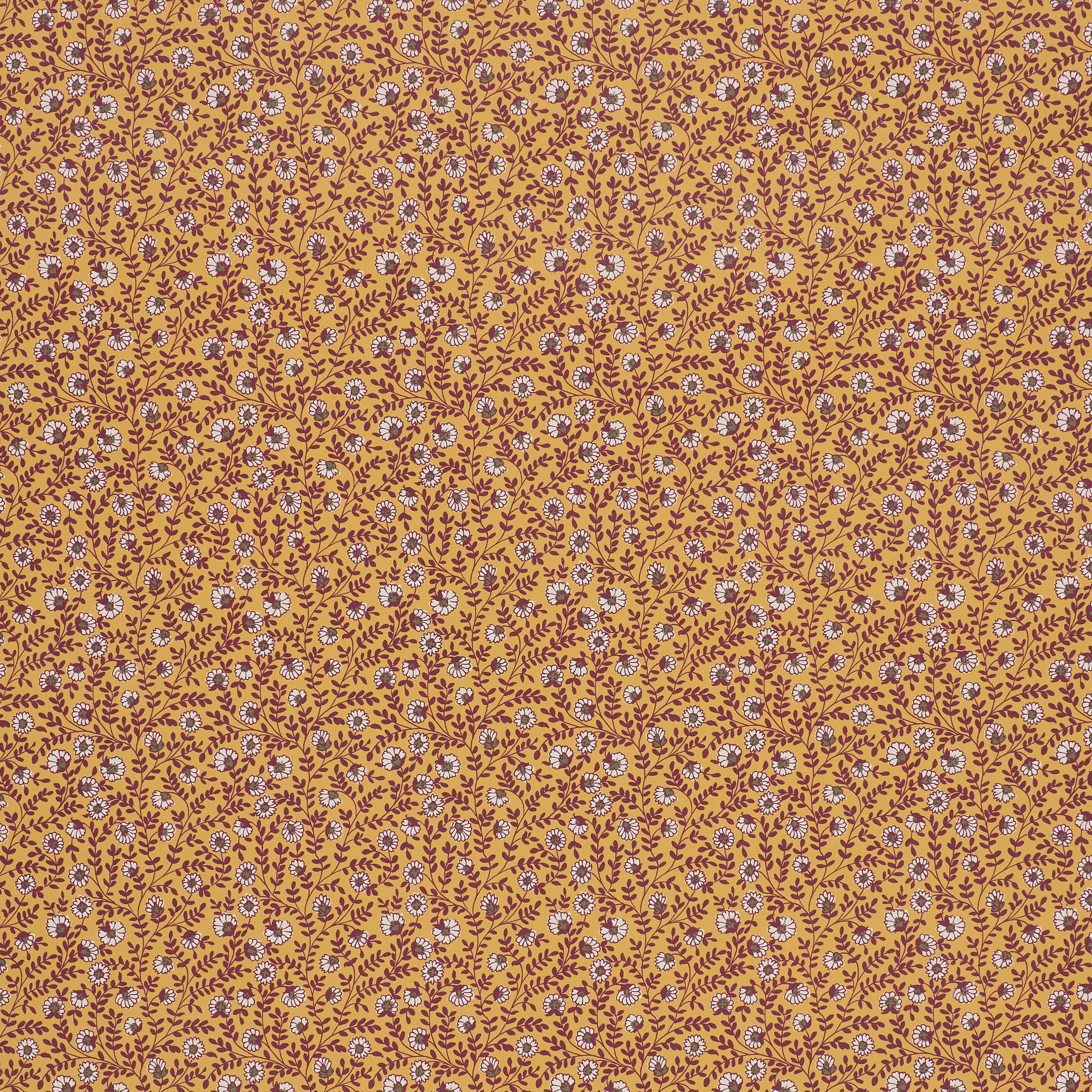 Vetch - Saffron