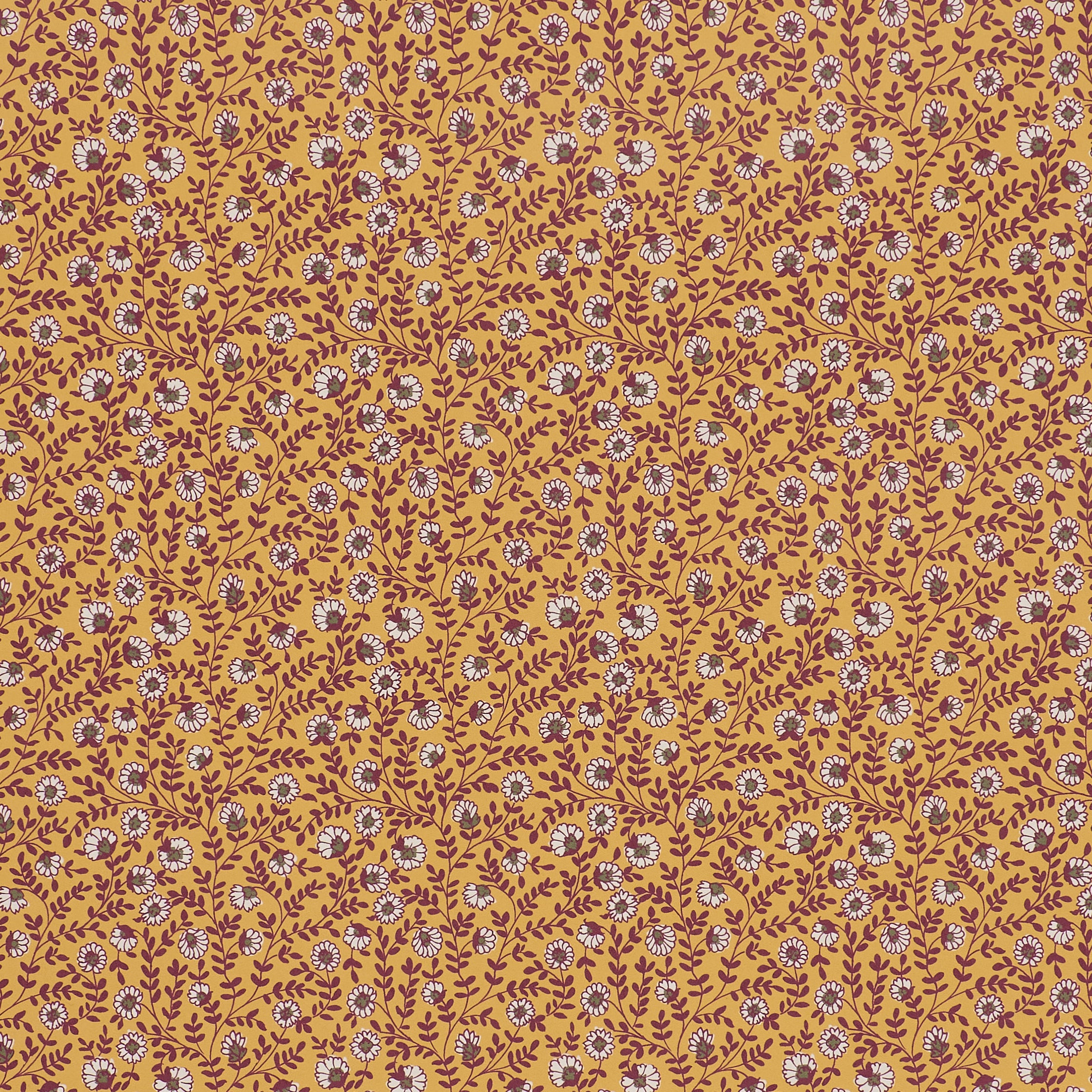 Vetch - Saffron (Sample)