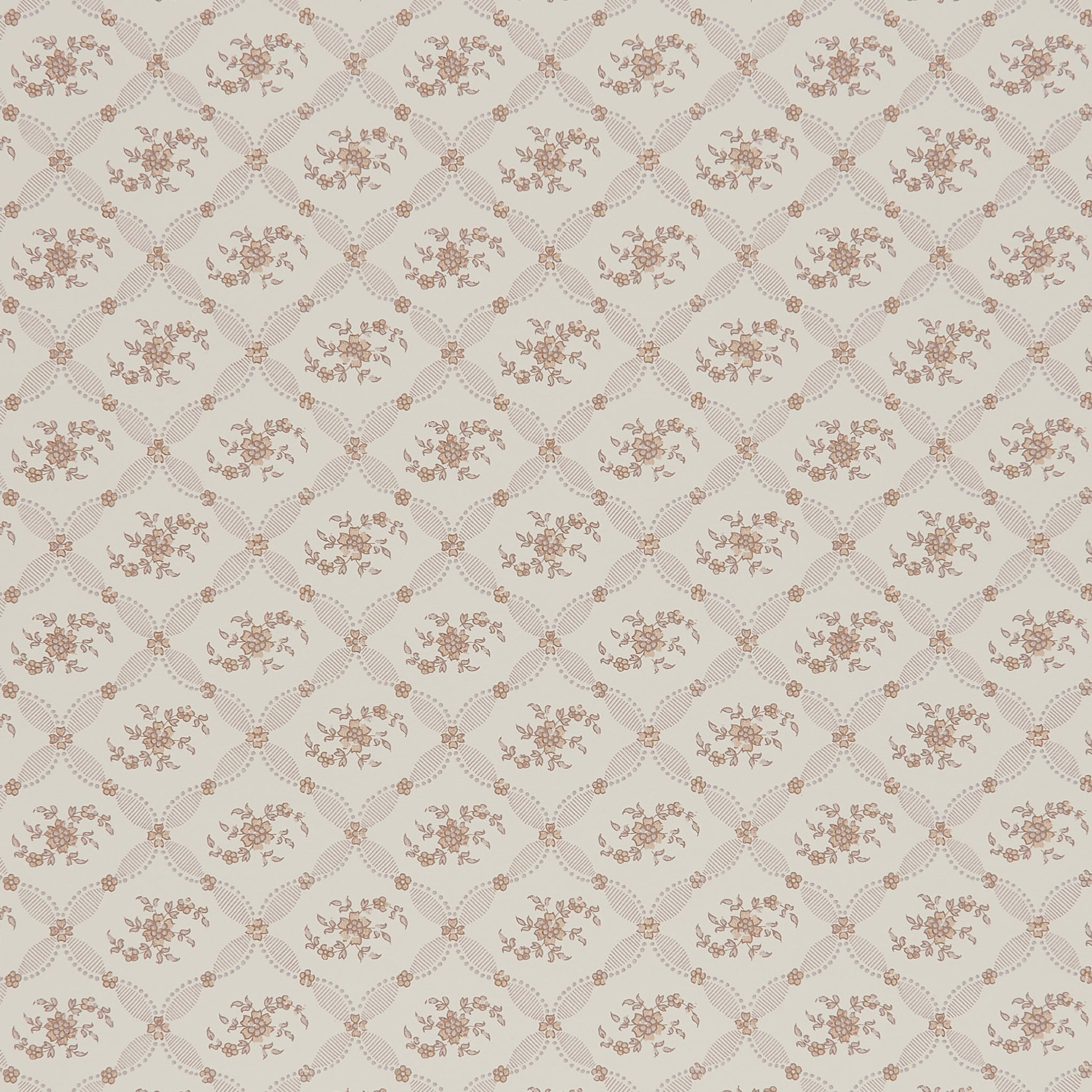 Violet - Beige by Sarah Vanrenen