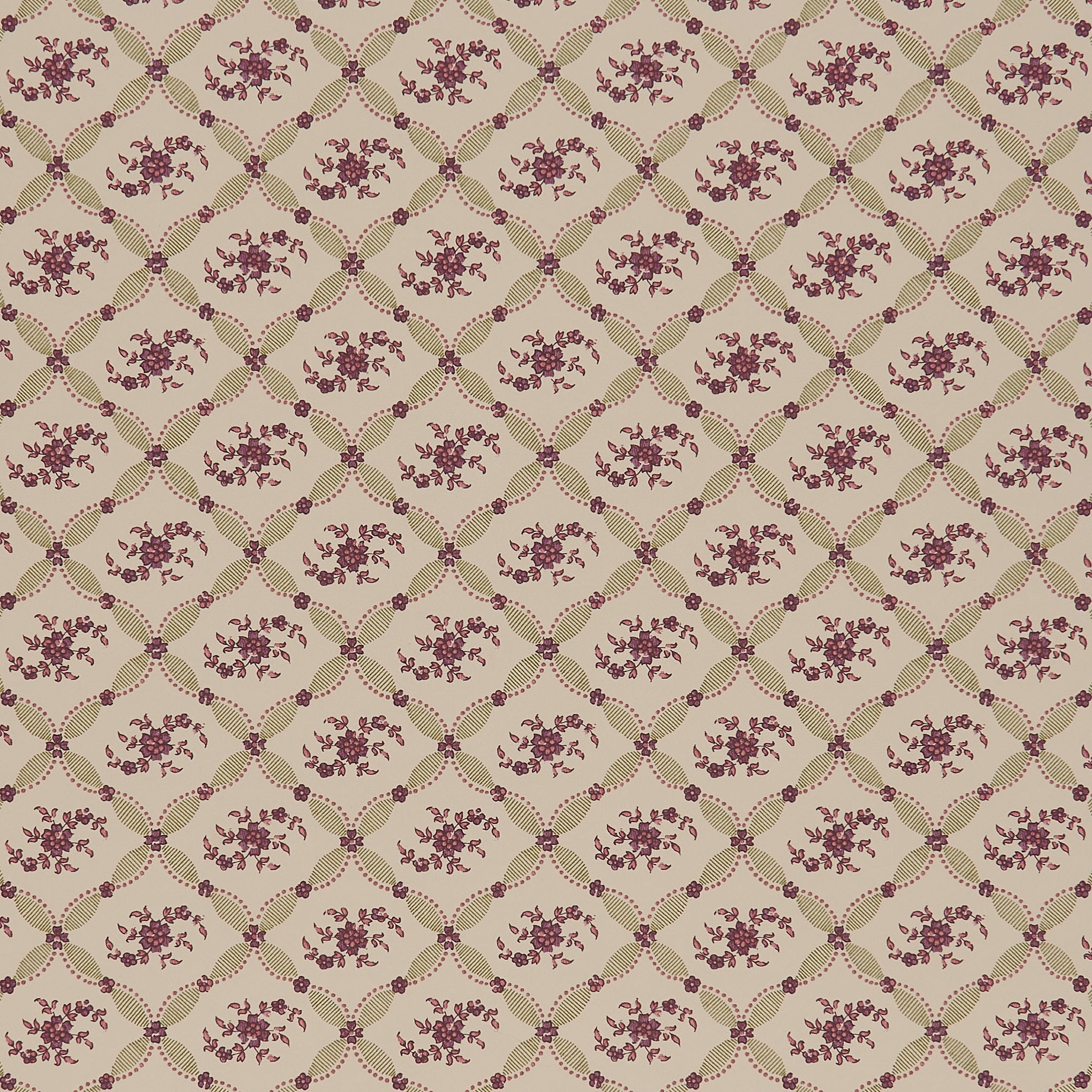 Violet - Green Purple by Sarah Vanrenen