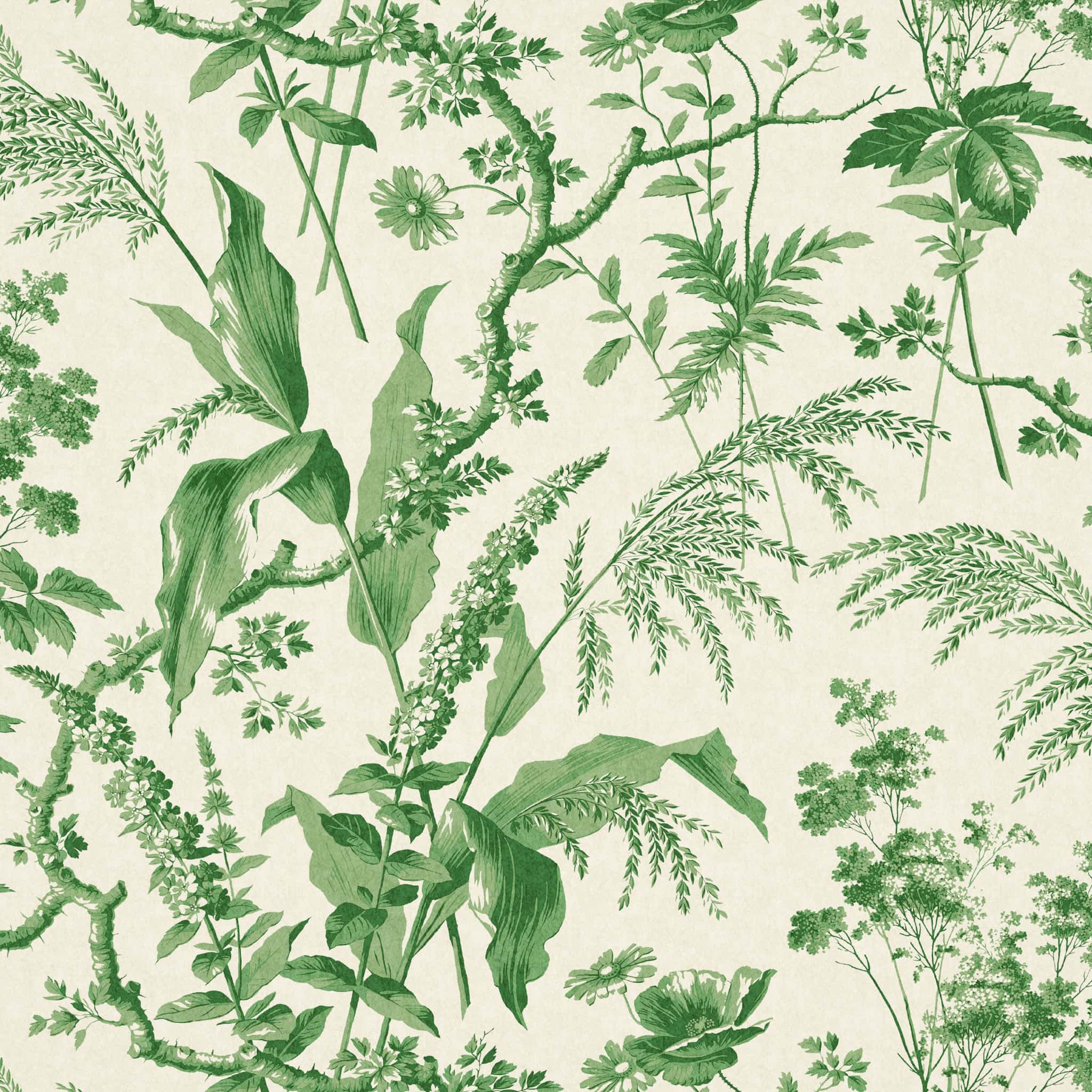 Aspa Green Wide Wallpaper by Sarah Vanrenen