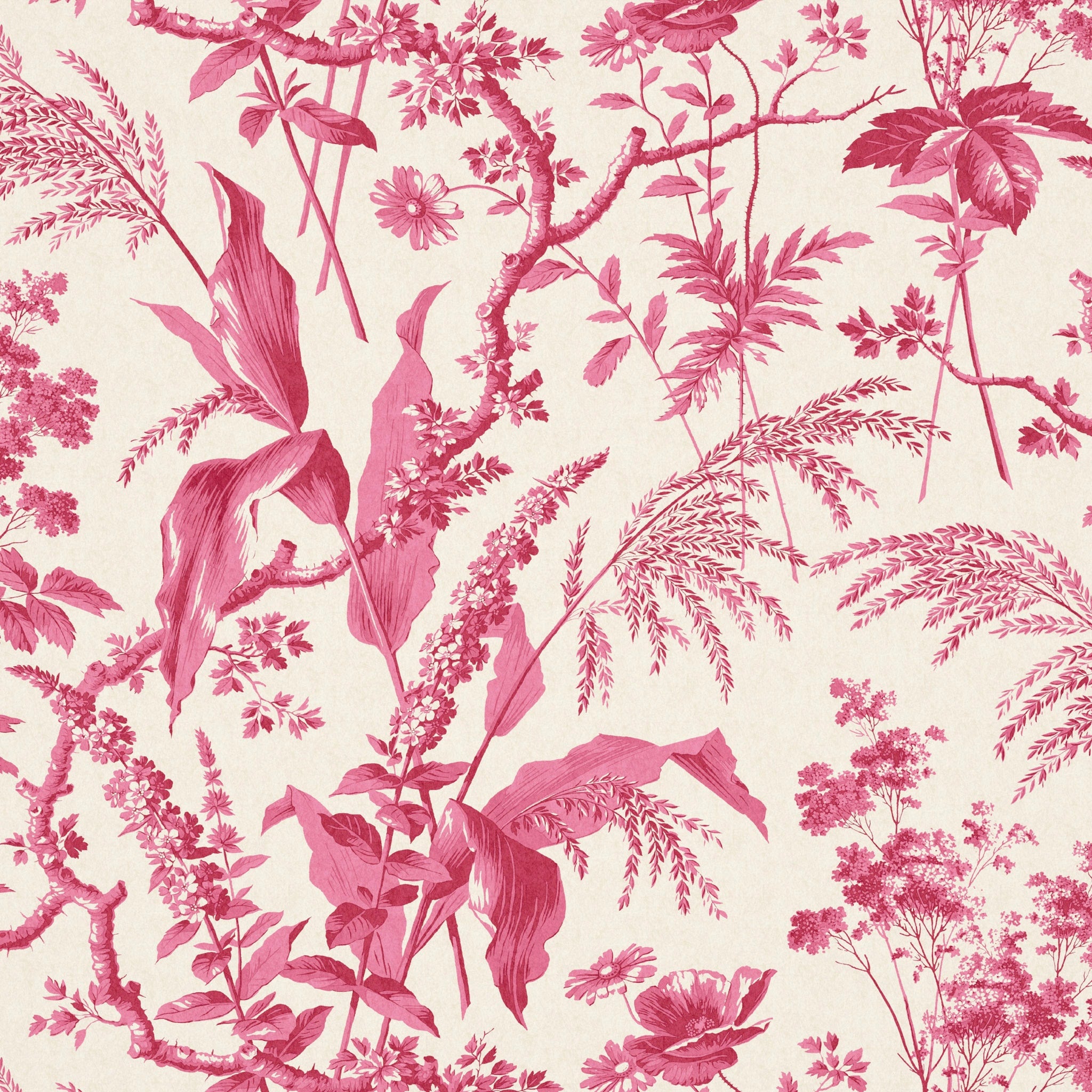 Aspa Raspberry Wide Wallpaper by Sarah Vanrenen